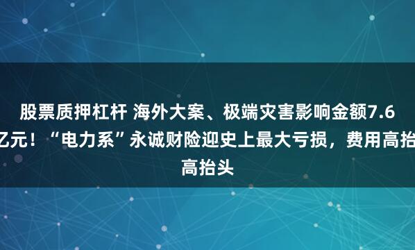 股票质押杠杆 海外大案、极端灾害影响金额7.67亿元！“电力系”永诚财险迎史上最大亏损，费用高抬头