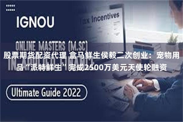 股票期货配资代理 盒马鲜生侯毅二次创业：宠物用品“派特鲜生”完成2500万美元天使轮融资