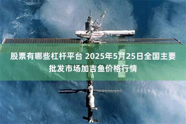 股票有哪些杠杆平台 2025年5月25日全国主要批发市场加吉鱼价格行情