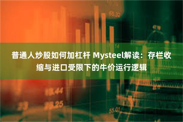 普通人炒股如何加杠杆 Mysteel解读：存栏收缩与进口受限下的牛价运行逻辑