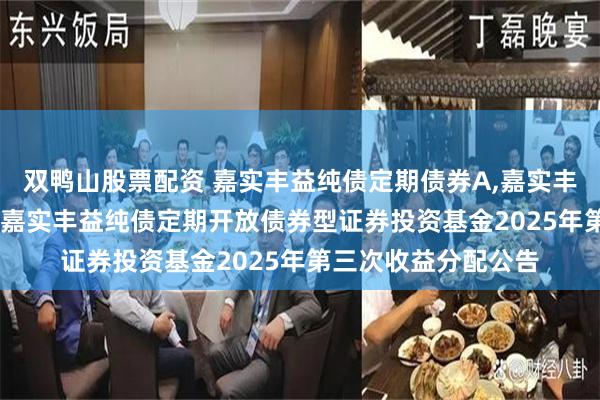 双鸭山股票配资 嘉实丰益纯债定期债券A,嘉实丰益纯债定期债券C: 嘉实丰益纯债定期开放债券型证券投资基金2025年第三次收益分配公告