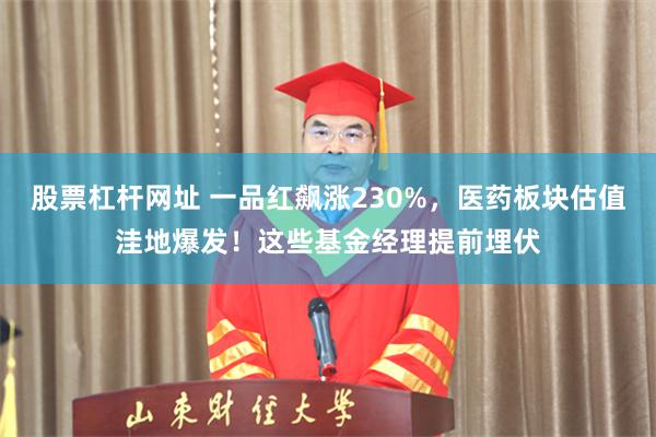 股票杠杆网址 一品红飙涨230%，医药板块估值洼地爆发！这些基金经理提前埋伏