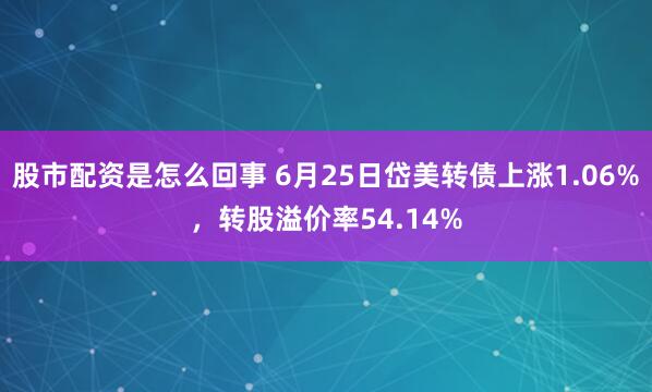 股市配资是怎么回事 6月25日岱美转债上涨1.06%，转股溢价率54.14%