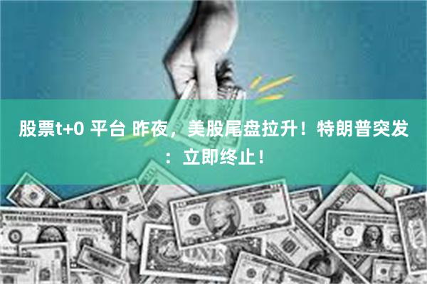 股票t+0 平台 昨夜，美股尾盘拉升！特朗普突发：立即终止！