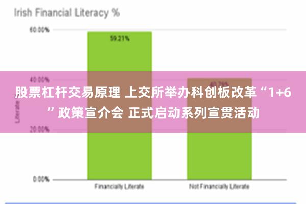股票杠杆交易原理 上交所举办科创板改革“1+6”政策宣介会 正式启动系列宣贯活动