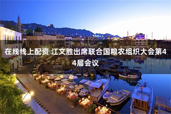 在线线上配资 江文胜出席联合国粮农组织大会第44届会议