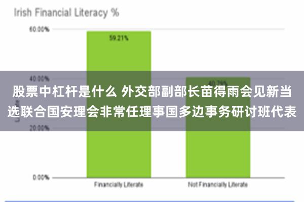 股票中杠杆是什么 外交部副部长苗得雨会见新当选联合国安理会非常任理事国多边事务研讨班代表
