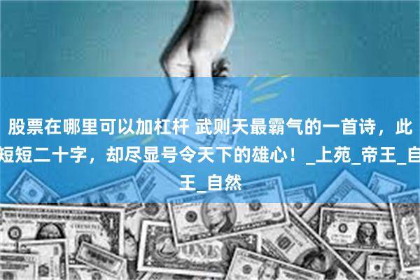 股票在哪里可以加杠杆 武则天最霸气的一首诗，此诗短短二十字，却尽显号令天下的雄心！_上苑_帝王_自然