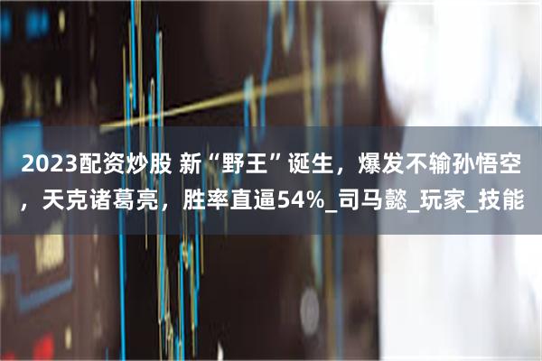 2023配资炒股 新“野王”诞生，爆发不输孙悟空，天克诸葛亮，胜率直逼54%_司马懿_玩家_技能