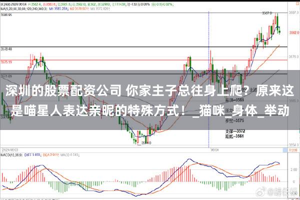 深圳的股票配资公司 你家主子总往身上爬？原来这是喵星人表达亲昵的特殊方式！_猫咪_身体_举动
