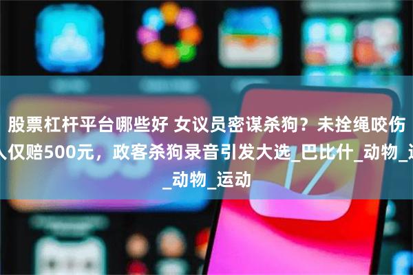 股票杠杆平台哪些好 女议员密谋杀狗？未拴绳咬伤游人仅赔500元，政客杀狗录音引发大选_巴比什_动物_运动
