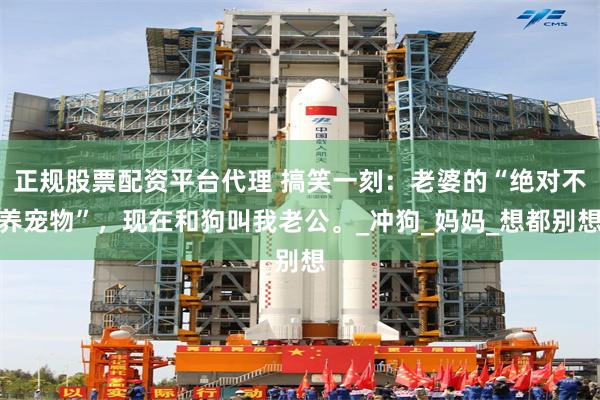 正规股票配资平台代理 搞笑一刻：老婆的“绝对不养宠物”，现在和狗叫我老公。_冲狗_妈妈_想都别想