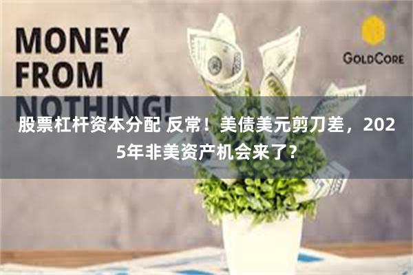 股票杠杆资本分配 反常！美债美元剪刀差，2025年非美资产机会来了？
