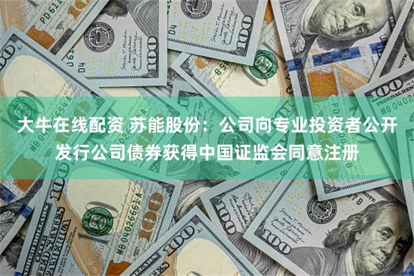 大牛在线配资 苏能股份：公司向专业投资者公开发行公司债券获得中国证监会同意注册
